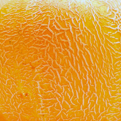melon texture