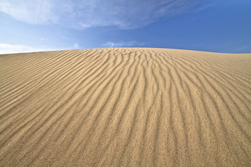 Naklejka premium desert