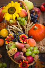 Autumn harvest - fresh fruits in the basket