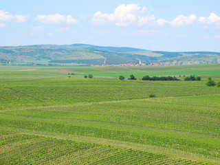 Vineyards and fields in South Moravia, Czech republic.