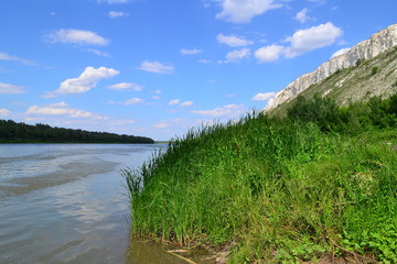 Берег Дона