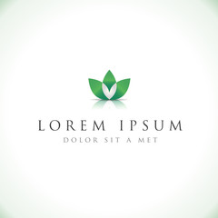 Flower Background - Vector illustration