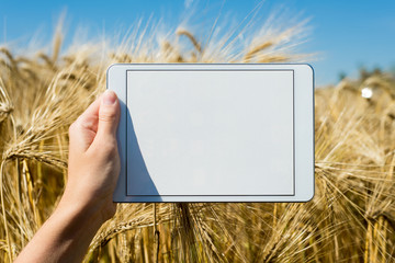 Tablet von Hand im Feld gehalten