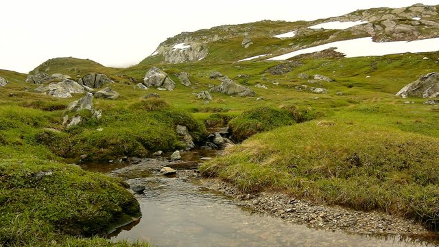 Cascade on small mountain stream in Alps, stream in meadow