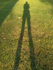Shadow giant