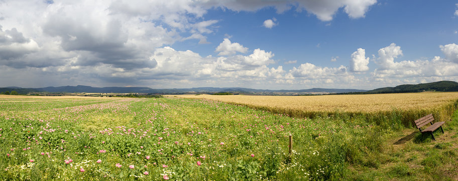 Panorama Mohnfeld Germerode