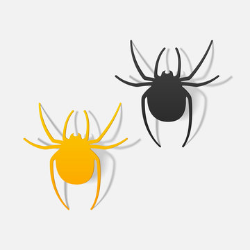 realistic design element: spider