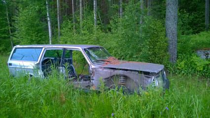 Old derelict car lost in the woods.