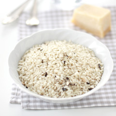 Raw truffle risotto and Parmesan cheese