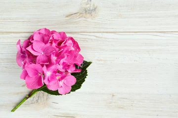 Photo sur Plexiglas Hortensia hydrangea flower on wooden surface