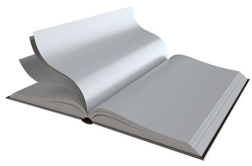 newspapers and magazines