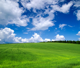 green field