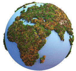 Fototapeta premium Globe