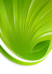 Green Soft Shell