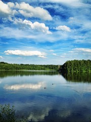 Fototapeta na wymiar lake landscape with ducks