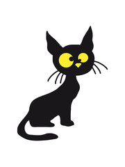 Verrückte Dumme Lustige Kleine Katze