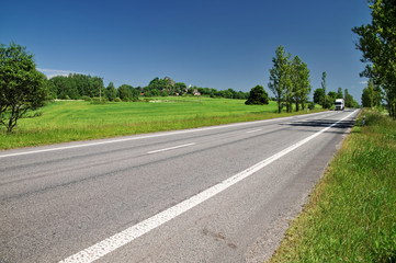 Road lined with poplar alley, in the distance white truck