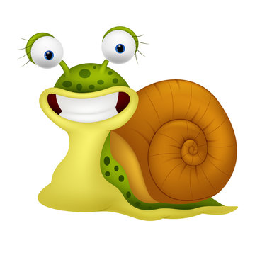 Cute snail cartoon