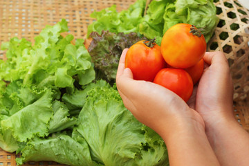 Vegetables salad and tomato in hand