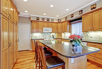 Spacious kitchen room with island