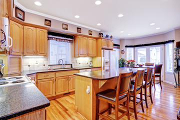 Spacious kitchen room with island