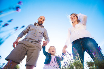 Family in lavender field