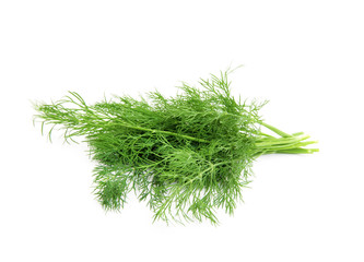 dill isolated on white