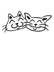 Katzen Paar Pärchen Freunde Team Liebe