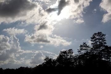 Fototapeta premium Sky and cloud