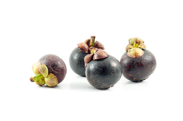 mangosteen