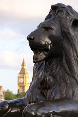 Lion on Trafalgar square