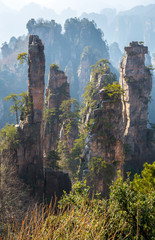 Zhangjiajie National forest park