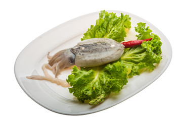 Raw cuttlefish