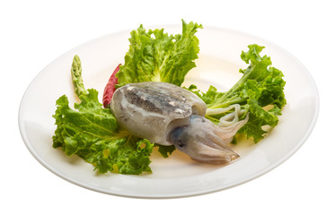 Raw cuttlefish