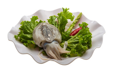 Raw cuttlefish