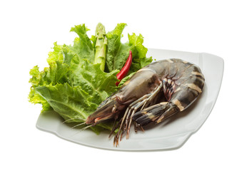 Tiger prawn
