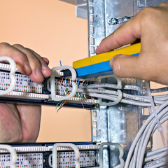assembly network patch panels, rear view