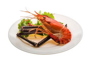 Giant Freshwater Prawn