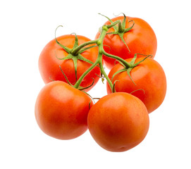 Tomatoes on the branch