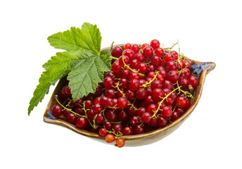 Red currant
