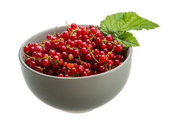 Red currant
