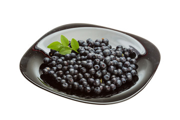 Blueberry