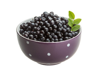 Blueberry
