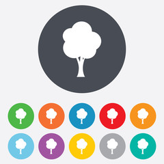 Tree sign icon. Forest symbol.