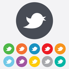 Social media icon. Short messages twitter symbol.