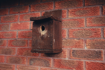 Wooden bird house