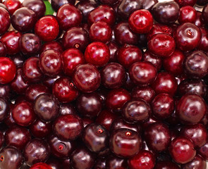 Ripe cherry closeup as background