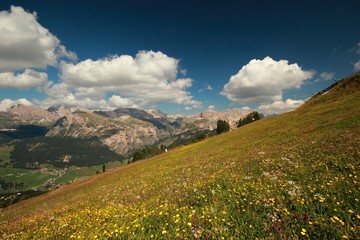 Dolomites - Blooming Meadow