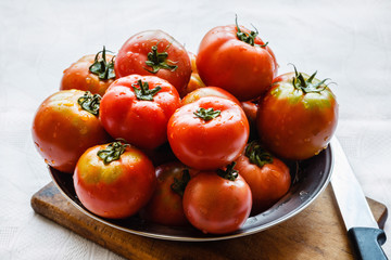 Natural tomatoes in a dish