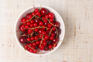 Mixed red berries in bowl